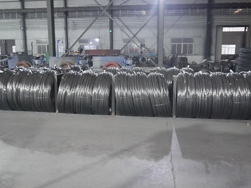45 Jaring Dawai Karbon